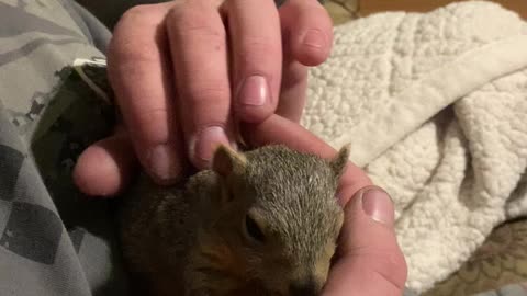 Squirrelly Bob and my son getting some lovin