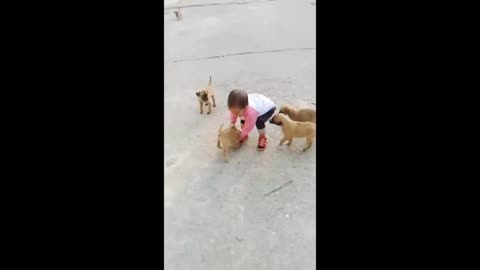 Funny animals|funny animals video| funny videos| cute cats| try not to laugh