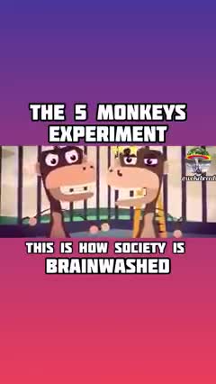 The 5 Monkeys Experiment