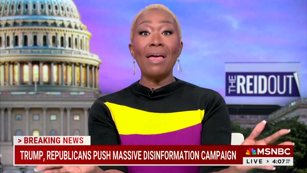 Joy Reid Claims 'Black And Brown Men' Joining 'Fascist Ground Swell'