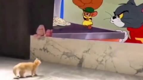 scared Cat running from tom & jerry