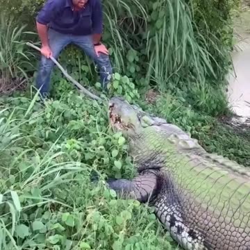 Brincando com a sorte🐊🐊🐊