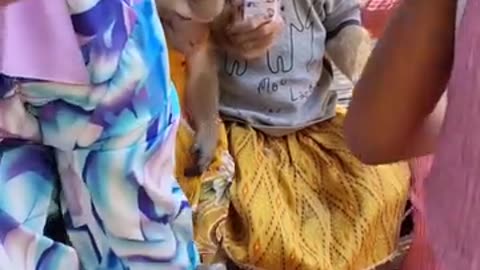 Cute little monkeys singing and dancing with the kids