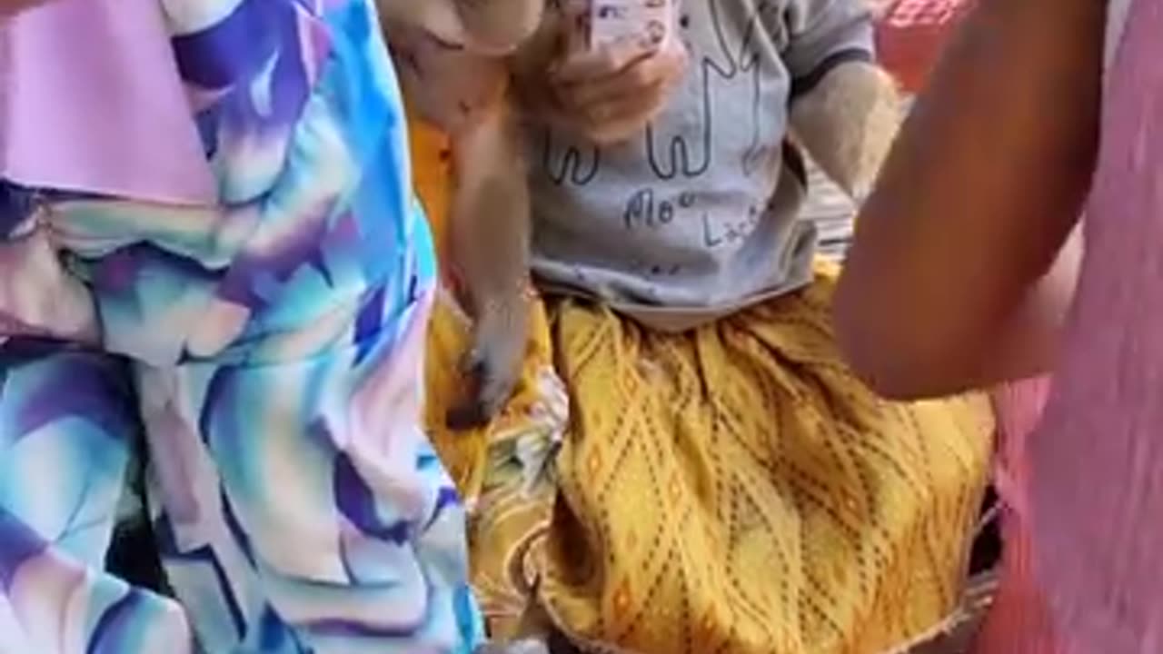 Cute little monkeys singing and dancing with the kids