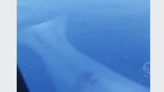 Imagine we start exploring the 80% of the unknown ocean and these show up