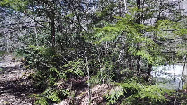 West Virginia State Parks - Camp Creek State Park - Mash Fork Falls