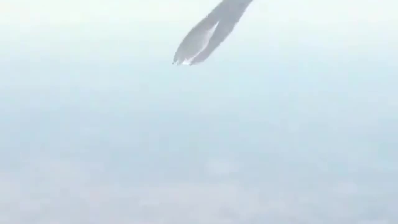 Plane passenger records one spraying