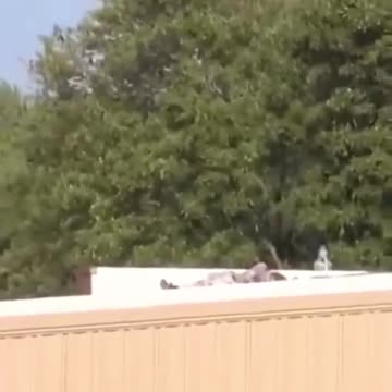 Trump Assassination Attempt - Shooter Seen Dead on the Roof
