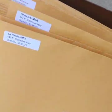 Delivering the Arizona Election Integrity Declaration to the Arizona Legislature - Part 2