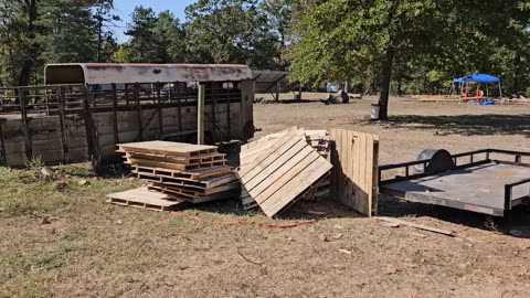 Moving the Pigs to their new home