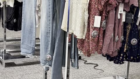 Snake Spotted Slithering Around Florida Mall