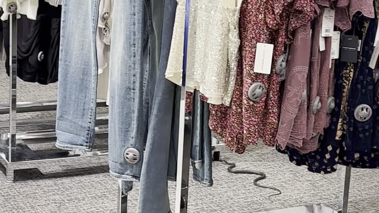 Snake Spotted Slithering Around Florida Mall