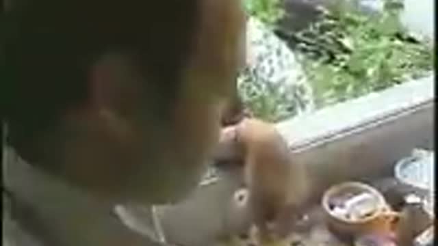 Dark Secrets Inside Bohemian Grove Full Length ( TRUTH )