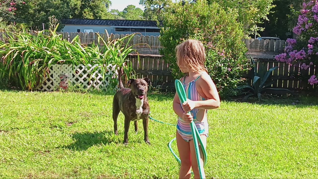 A GIRL AND HER DOG WITH THE SPRINKLER AND THE POOL ON 7-19-2024