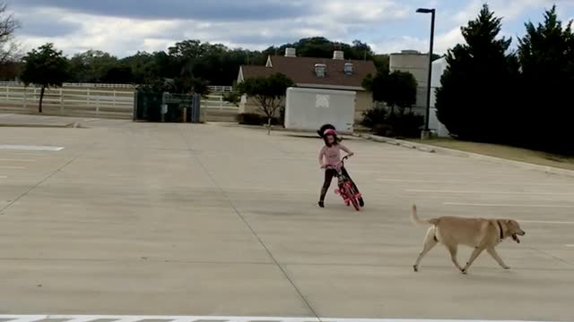 Mila and Duke playing