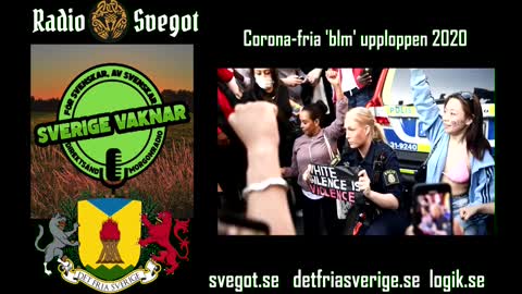 Sverige Vaknar Om Demonstrationen Mot Coronoa-repressionen 20 Mars 2021