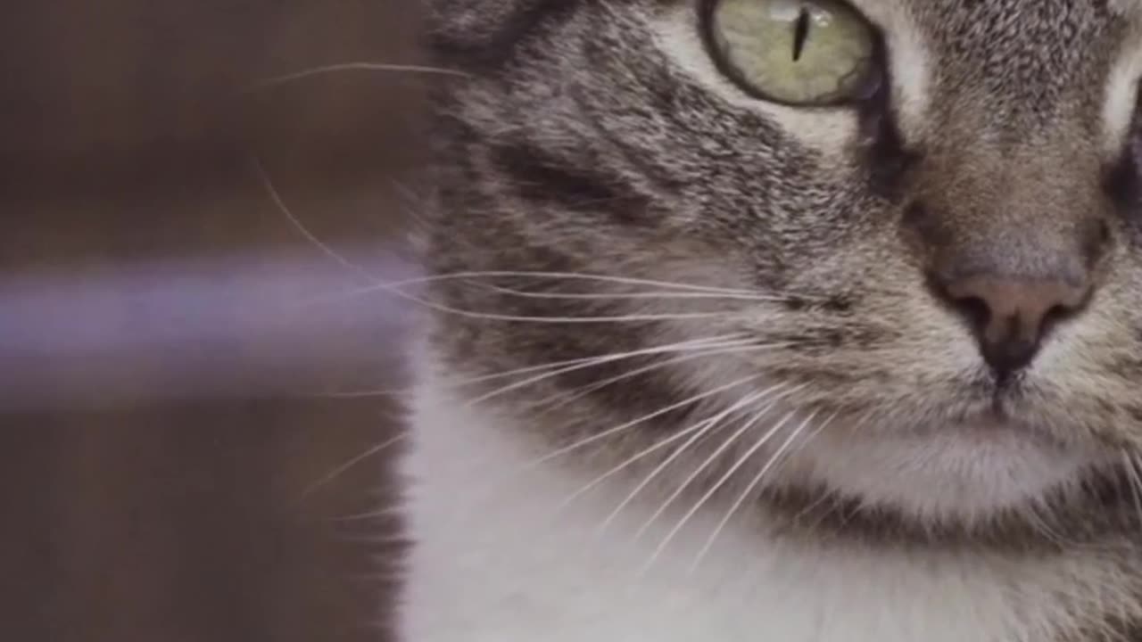 How Can Challenging Opinions Make Us Stronger_ 💪🤔.mp4