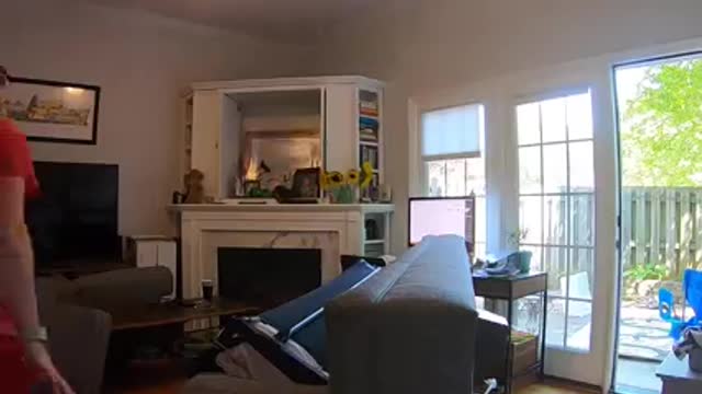 CCouple heard something moving in the couch.His screams are priceless.. 🤣
