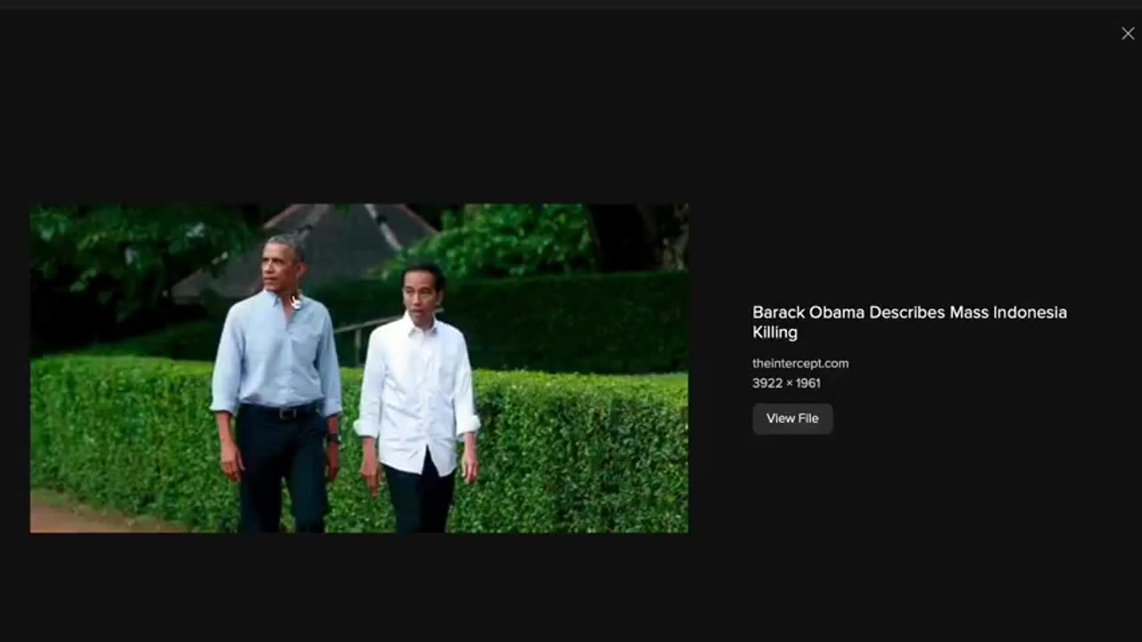 Mr Kamel Harris - Kamala is an EGI - Mr E.mp4