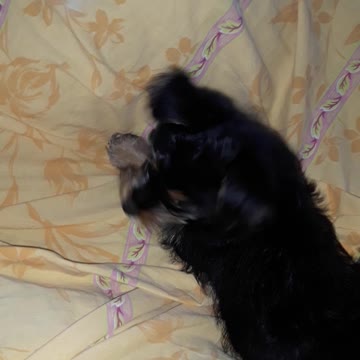 where did they hide you?