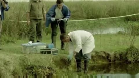 ¡CROMO PARA MATAR! - ¡SI! (Google Chrome) ESTA ADENTRO DE TUS VAKUNAS -