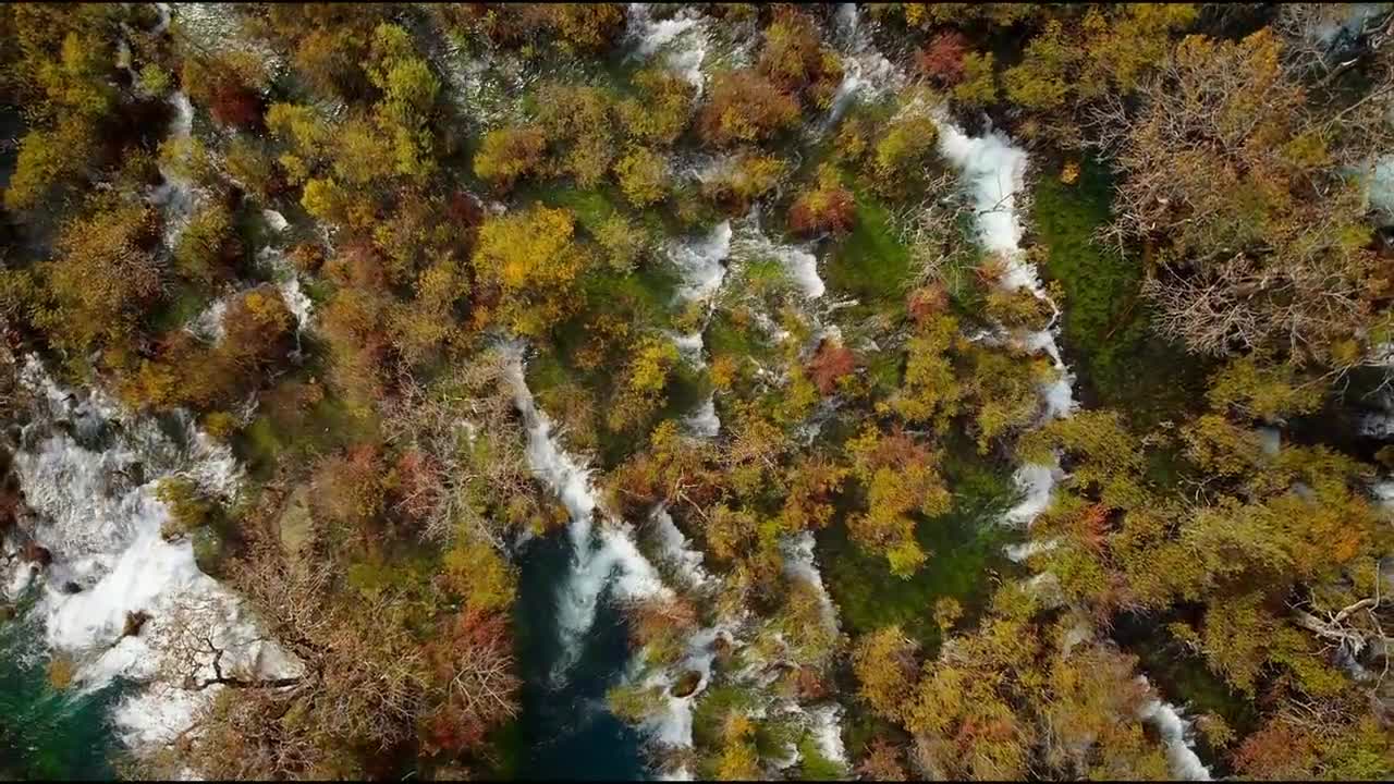 A beautiful world we care it