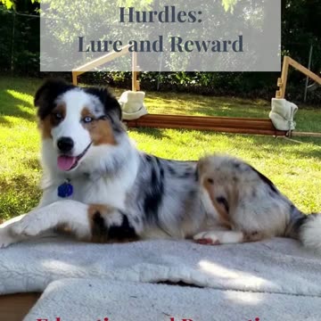 Hurdles practice and training ruff cut podcast cut 12