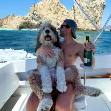 What a amazing holiday🐶