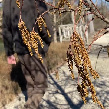 What is this filming technique?