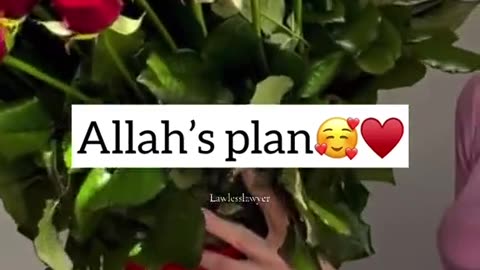 My plan vs god plan for me