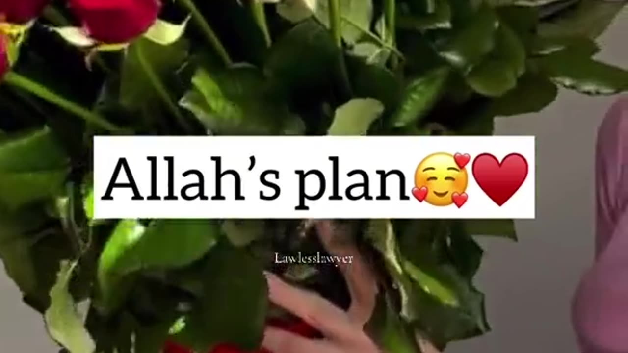 My plan vs god plan for me