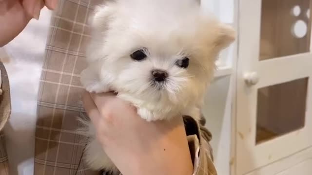 como cuando no quiero peinarme jejejje