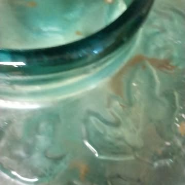 Loaches clicking for food