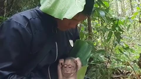 Shelter from the rain 😍