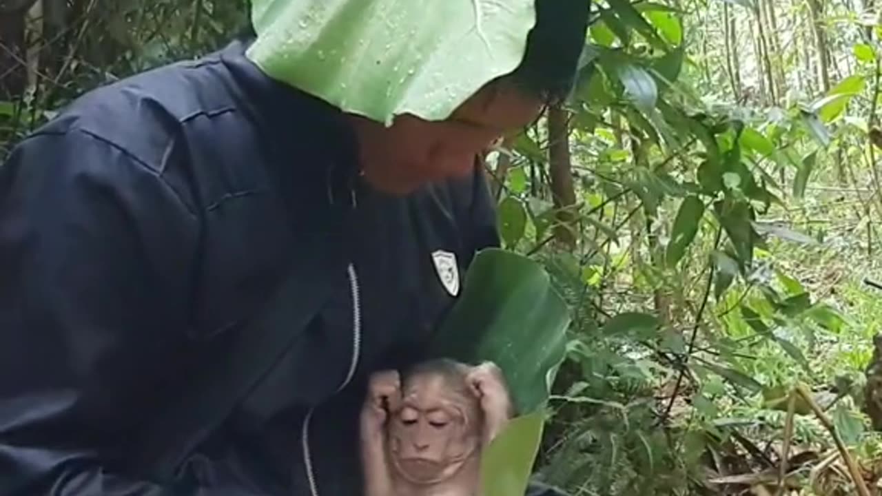 Shelter from the rain 😍