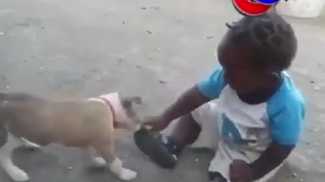 Funny child & Funny Dog
