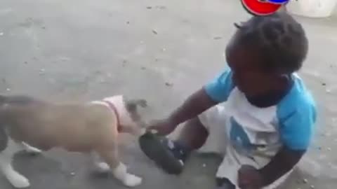 Funny child & Funny Dog