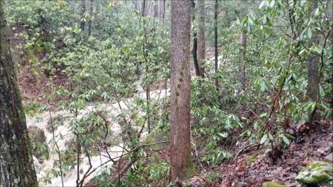 Dramatic Flooding in Smoky Mountains, Feb 23, 2019 with Ann M. Wolf