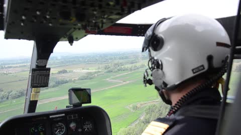 Pilot - Flying over the forest