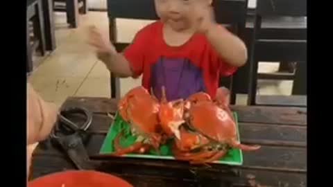 baby eat crab