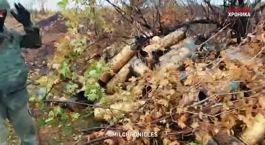 The work of howitzers "Hyacinth-B" in the Donetsk direction.