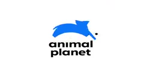 Animal planet