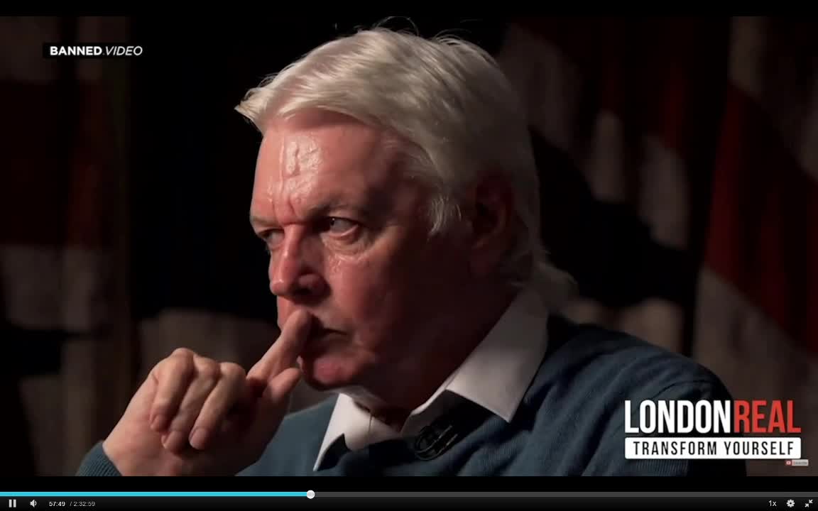 The Interview YouTube won't show: With David Icke and Brian Rose