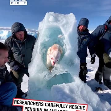 Researching Skin-walkers in Antarctica 😲
