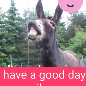 Have a good day SMILE