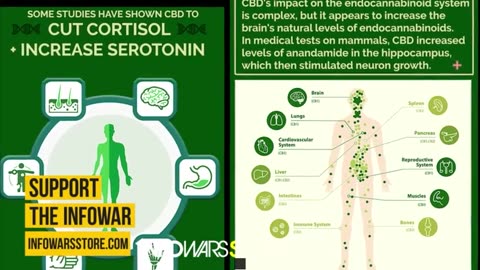 Nobel Da Paz Por Tiro Que Matou Mais De Cem Mil Crianças Americanas...