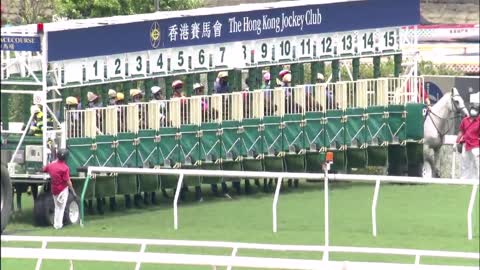 Horse_Race_2022061203_English