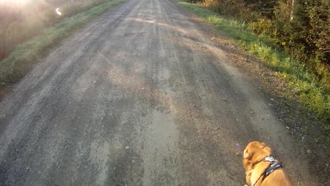 September 5th, 54º Flynn and I go to Prentiss, missed garbage truck but see school bus