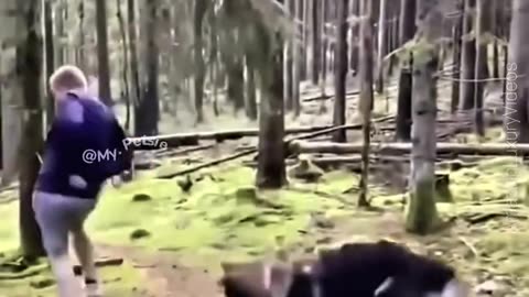 Video 1209635360238060
