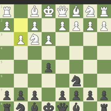 Chess video